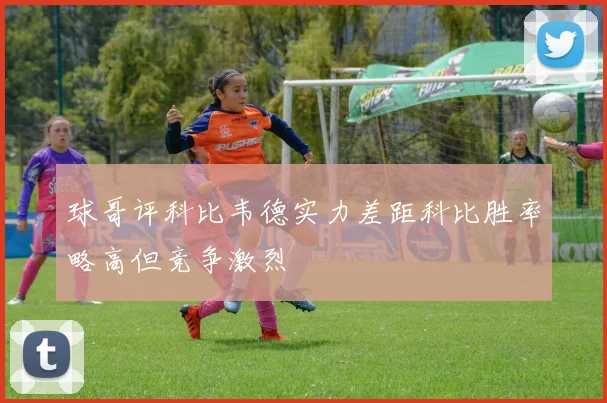 球哥评科比韦德实力差距科比胜率略高但竞争激烈
